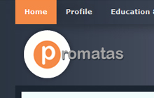 Promatas